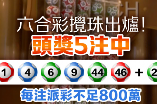 年新免费资料大全(2026年新免费资料大全查询)