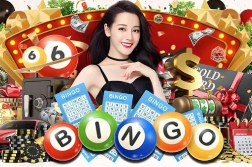 年澳门六合彩独家料下载